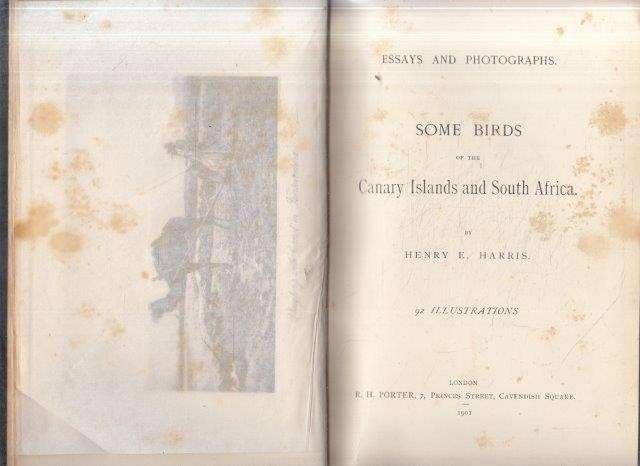 Essays and Photographs: Some Birds of the Canary Islands and South Africa - Harris, Henry E.