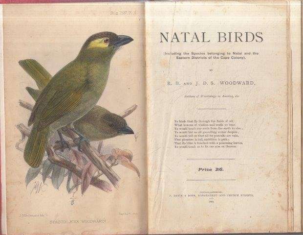 Natal Birds - Woodward, R. B. & Woodward, J. D. S.