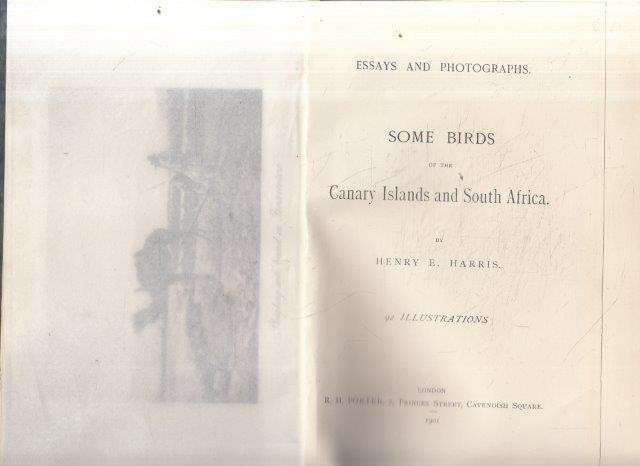 Essays and Photographs: Some Birds of the Canary Islands and South Africa - Harris, Henry E.