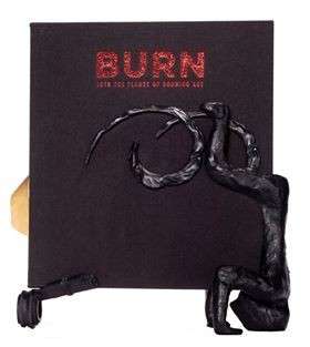 Burn Into the Flames of Burning Art (Limited, Deluxe Edition) - O'Callaghan, Simon