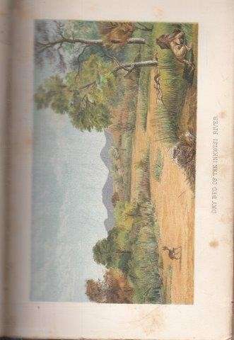 Matabele Land and the Victoria Falls - Oates, Frank & Oates, C. G. (ed)