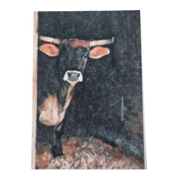 Decoupage Paper - Bentley
