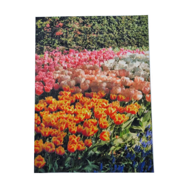 Decoupage Paper - Family Tulips