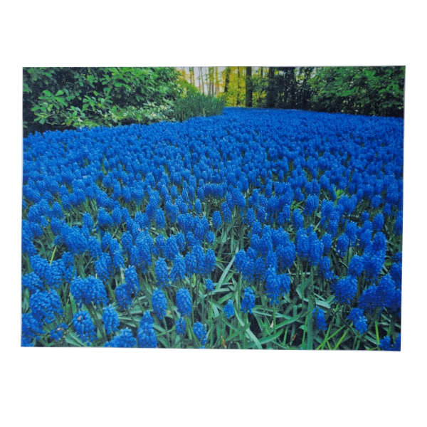 Decoupage Paper - Hyacinth