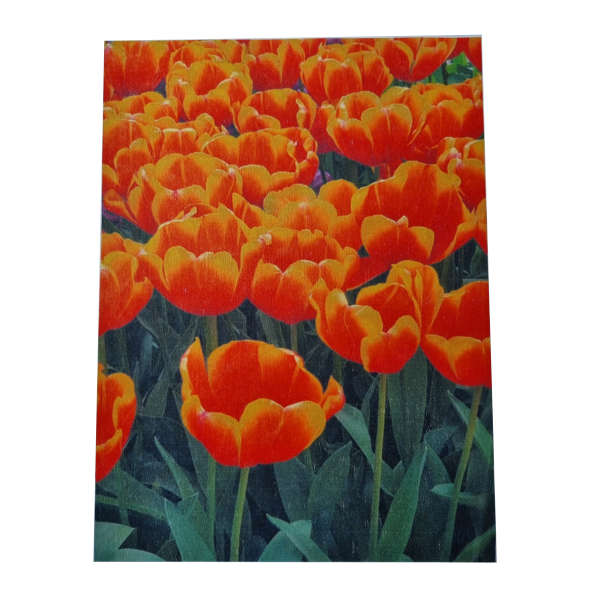 Decoupage Paper - Orange Tulips