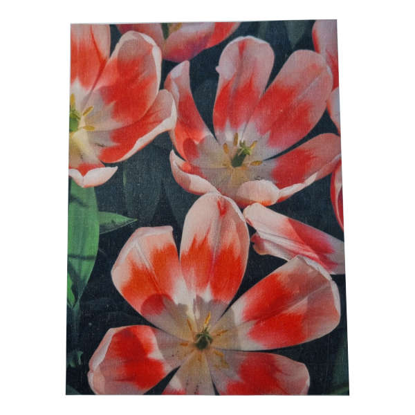 Decoupage Paper - Pinocchio Tulips