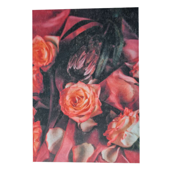 Decoupage Paper - Roses & Protea