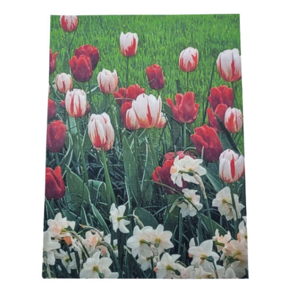 Decoupage Paper - Triumph Tulips