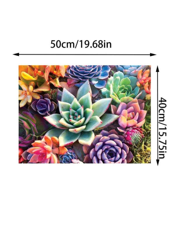 Paint by Numbers: Colourful Succulents