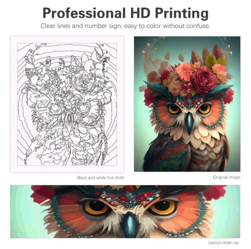 Paint by Numbers: Funky Owl