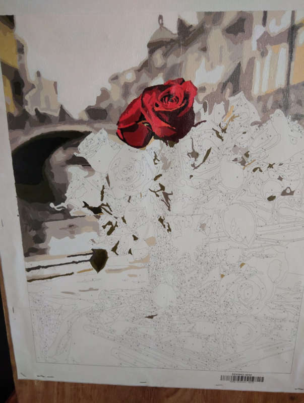 Paint by Numbers: Red Roses in Vase