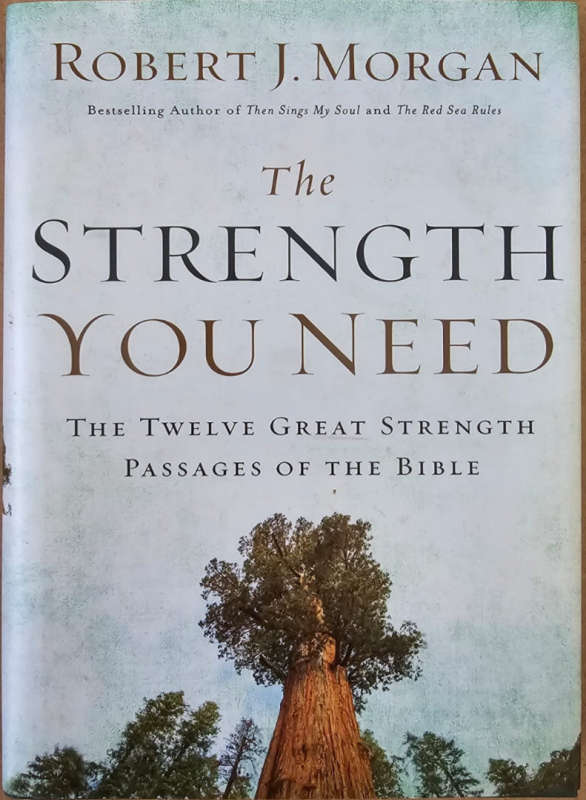 The Strength You Need - Robert J Morgan