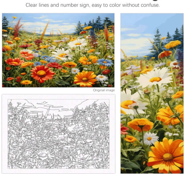 Paint by Numbers: Daisy Field