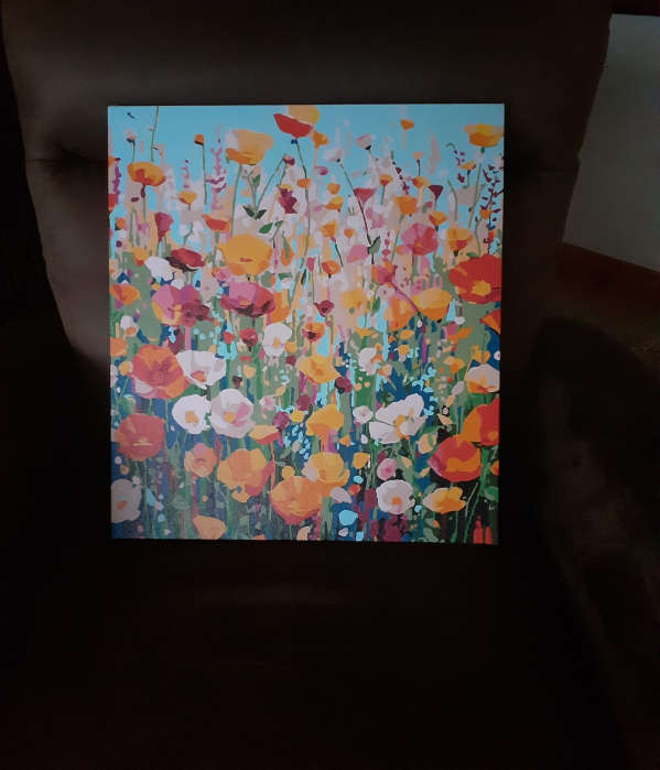 Paint by Numbers: Splash of Flowers