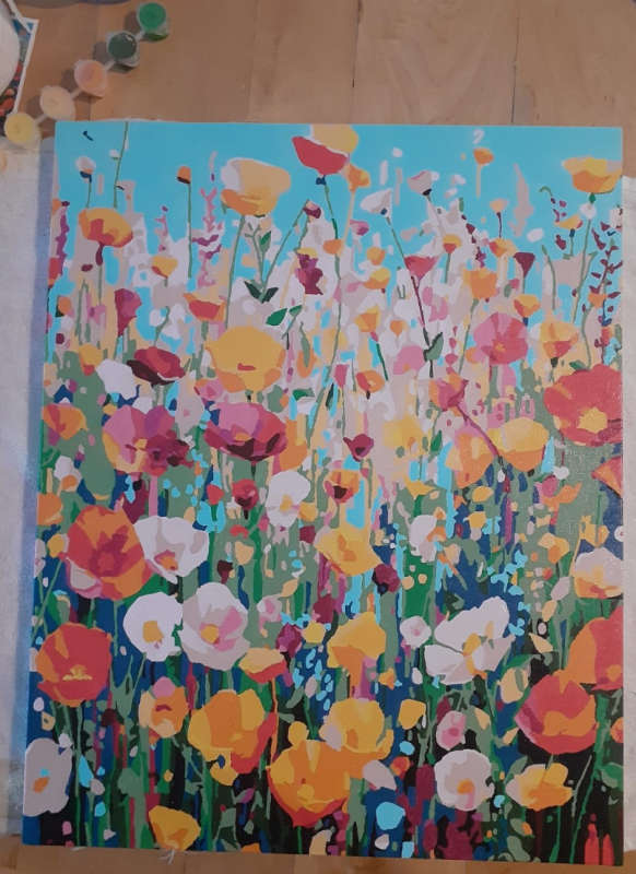 Paint by Numbers: Splash of Flowers