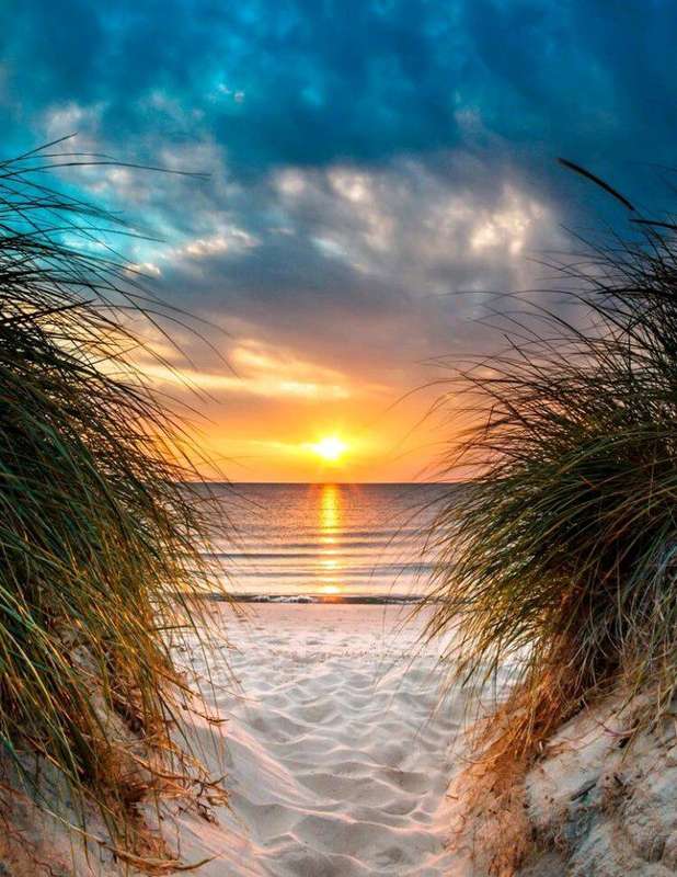 Diamond Dotting: Golden Sunset Beach
