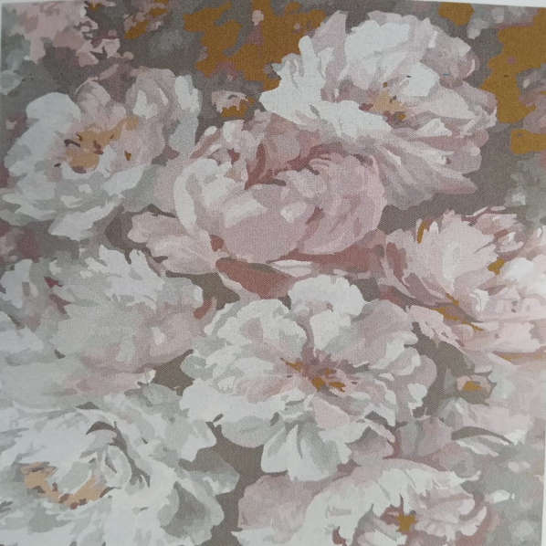 Paint by Numbers: White and Peach Blooms