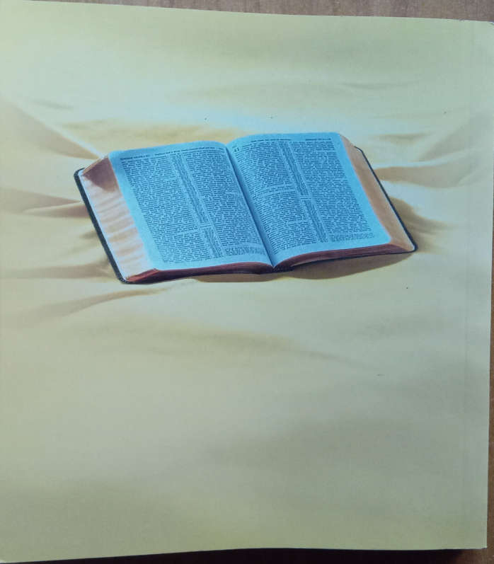 What Does the Bible Really Teach? Second-Hand Book