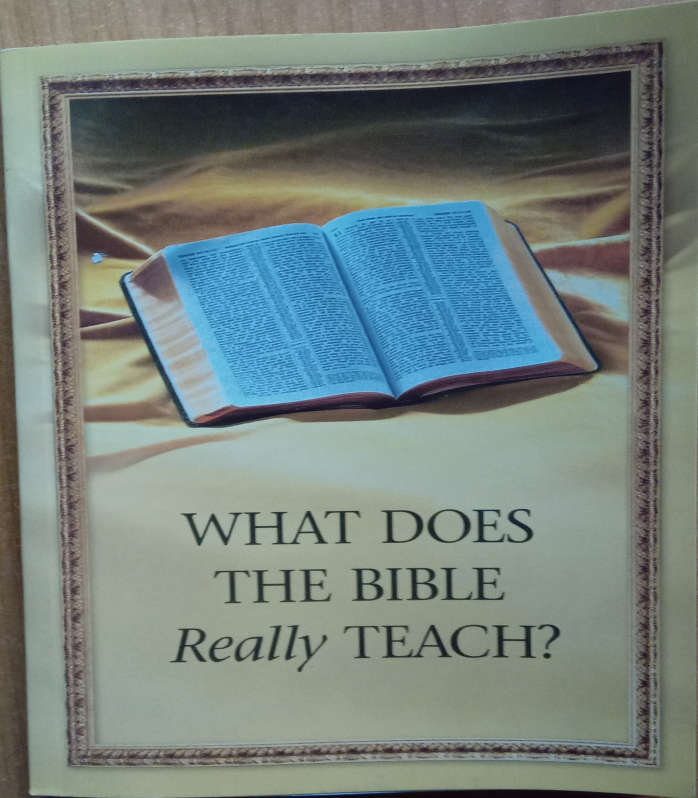 What Does the Bible Really Teach? Second-Hand Book