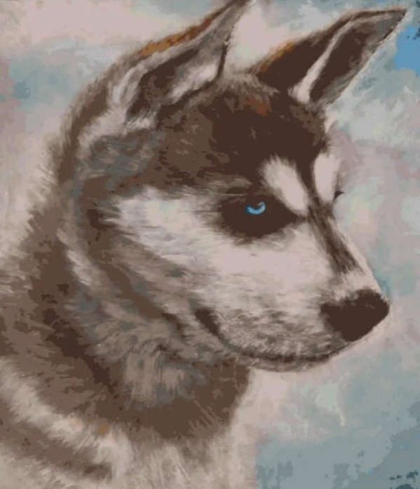 Paint by Numbers: The Husky