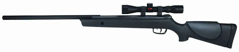 Gamo Big Cat 1250 Combo
