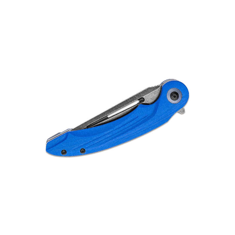 BESTECH BG25C Irida G10 Blue Handle