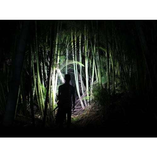 Fenix Headlamp HL40R Black/Grey 600 Lumens - Rechargeable