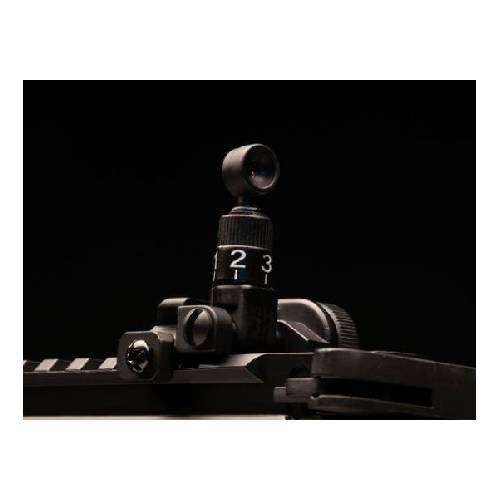 ASG Airsoft Rifle Aeg Pl M15 Devil Compact - 18349