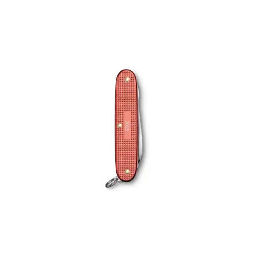 VICTORINOX PIONEER X ALOX STONE RED LTD 25 - V0.8231.L25