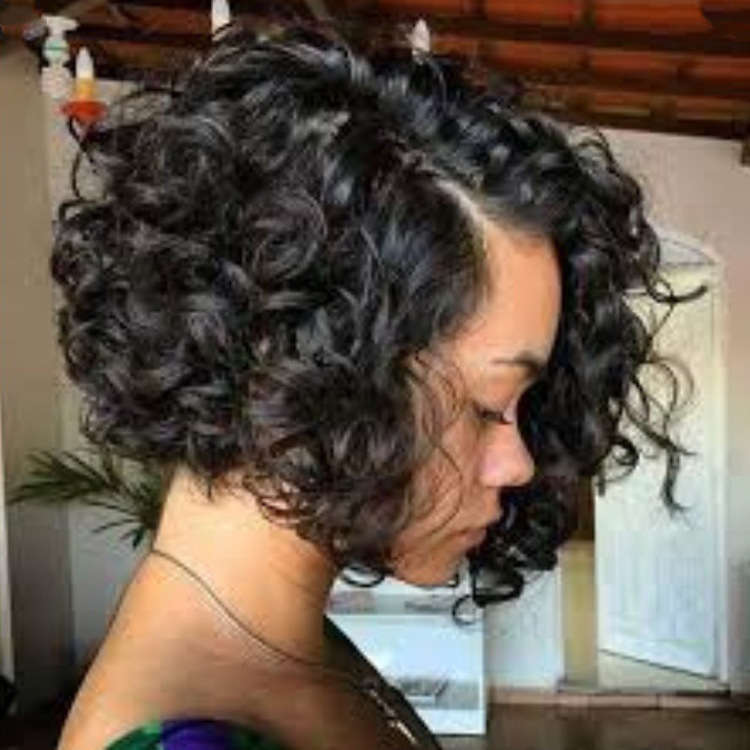 Short Curly Hair Synthetic Fibre Wig