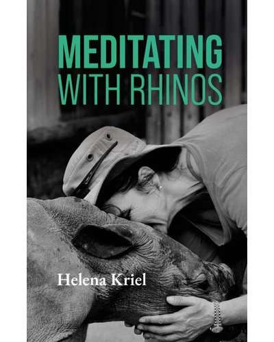 Meditating with Rhinos