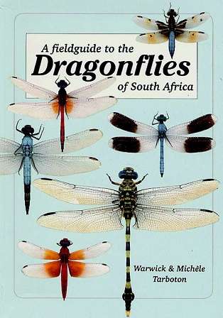 A Fieldguide to the Dragonflies in South Africa