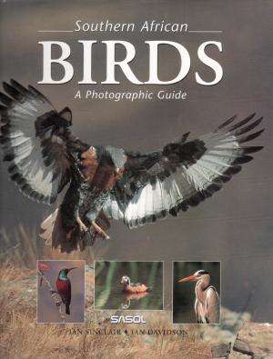 Southern African Birds: A Photographic Guide