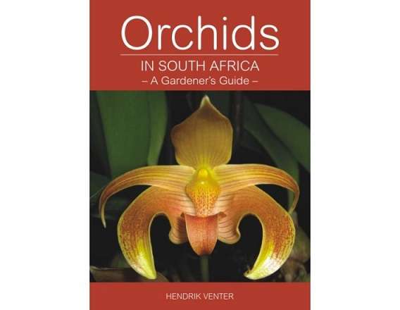 Orchids in South Africa: A Gardener's Guide