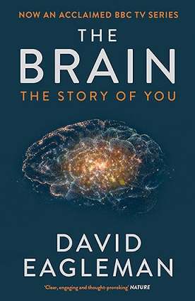 The Brain: The Story of Ypu