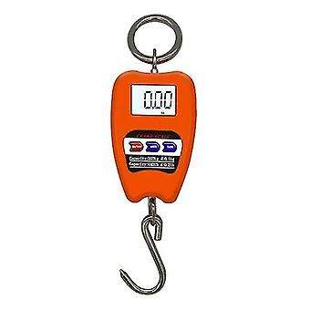Crane / Wall Hanging Scale - 200kg