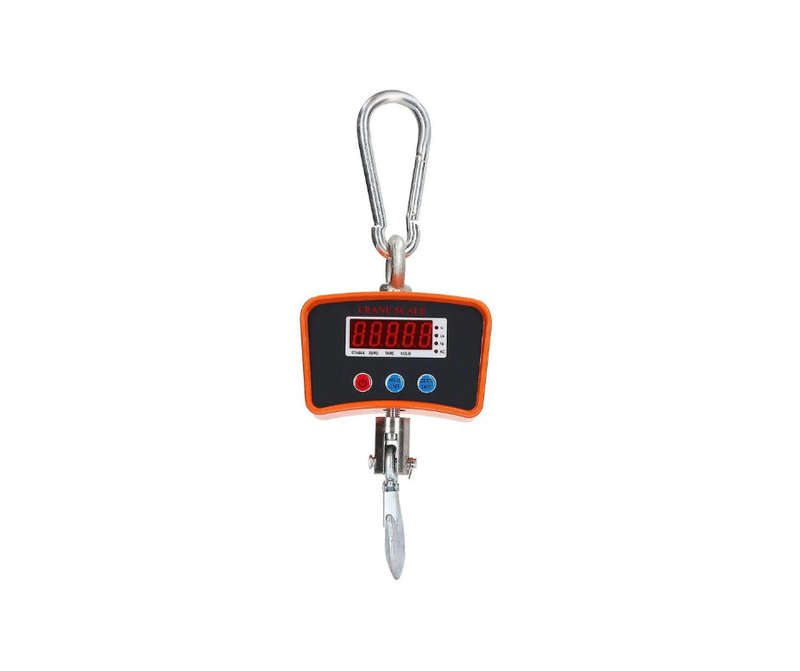 Crane / Wall Hanging Scale - 500kg