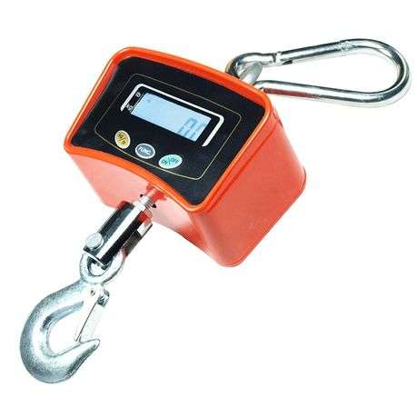 Crane / Wall Hanging Scale - 500kg
