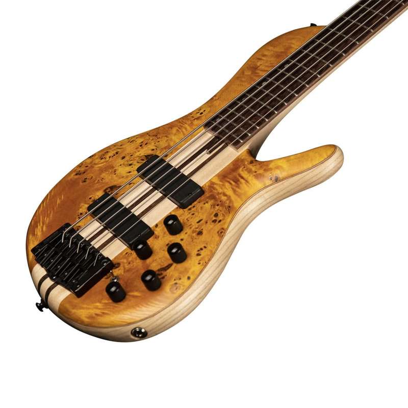Cort A5 Plus Single Cut  5-String  Poplar Burl Open Pore
