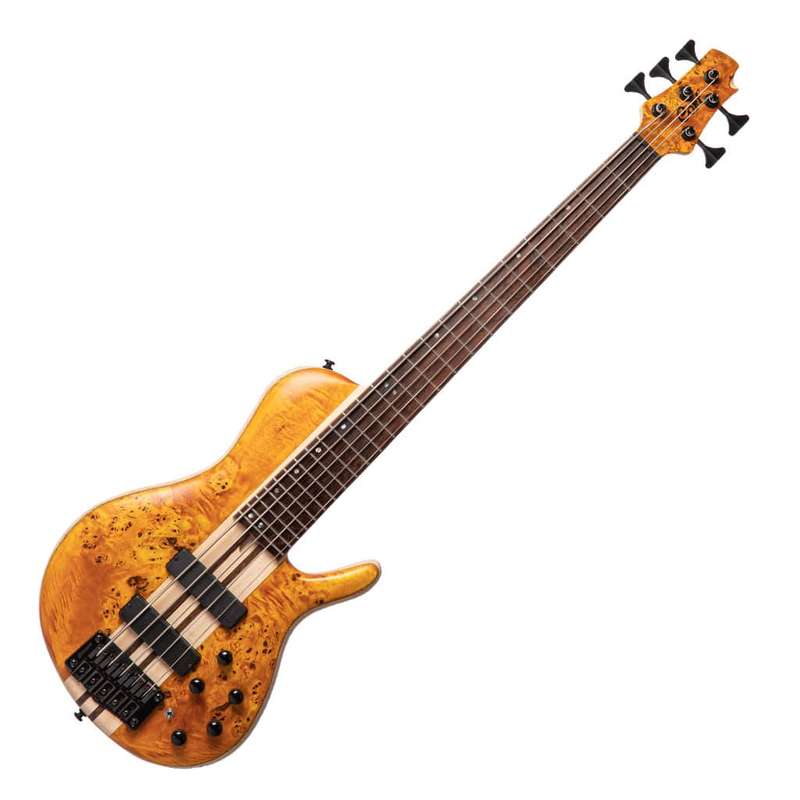 Cort A5 Plus Single Cut  5-String  Poplar Burl Open Pore