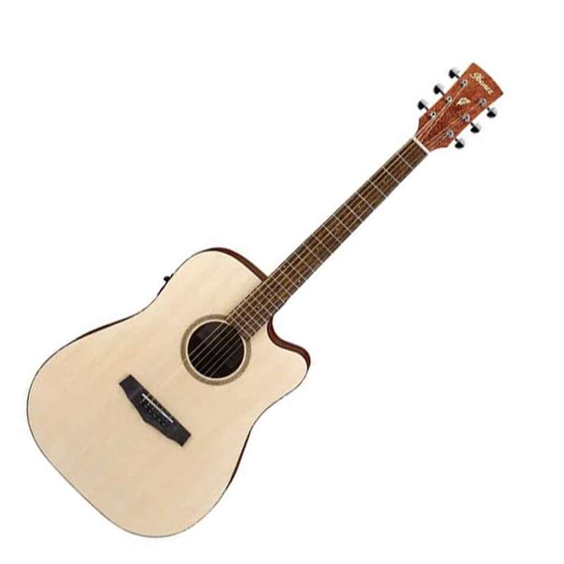 Ibanez PF10CE Acoustic Guitar w/ Pickup - Open Pore Natural