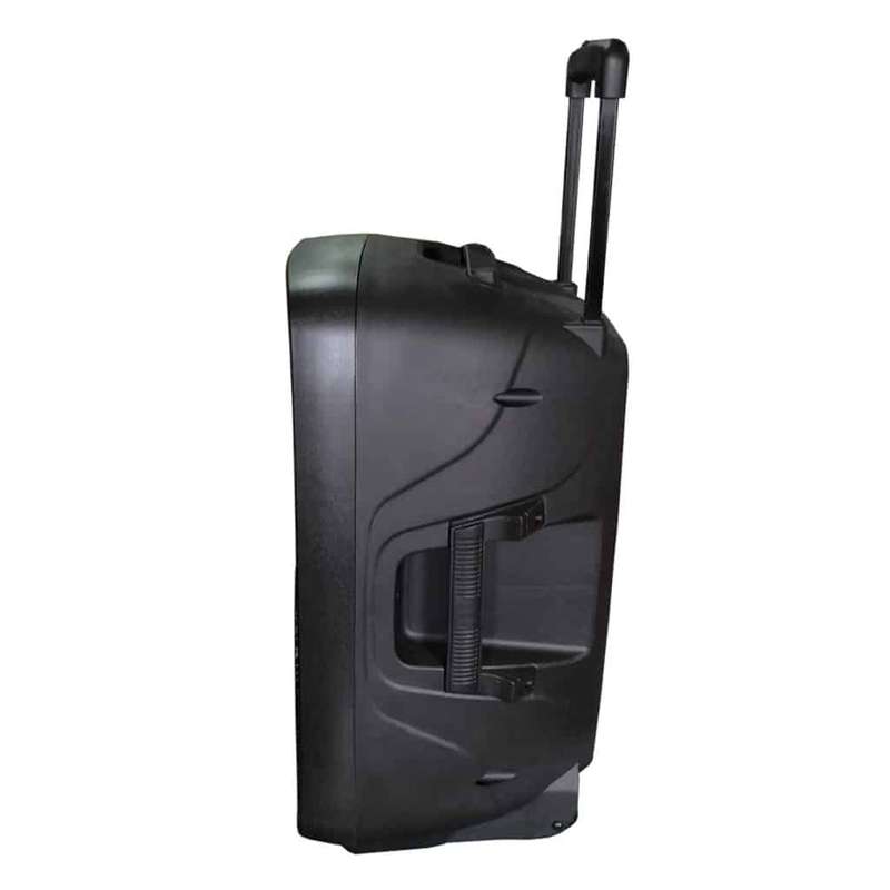 Wharfedale EZ12A Portable 12'' PA Speaker w/ Bluetooth Microphones