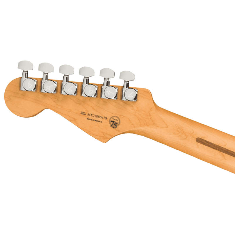 Fender Player Plus Stratocaster®  Pau Ferro Fretboard  Opal Spark