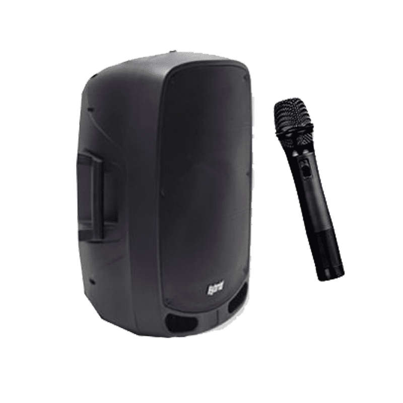 Hybrid PA12B 12 Battery Powered Speaker with Bluetooth &amp; Wireless Mic