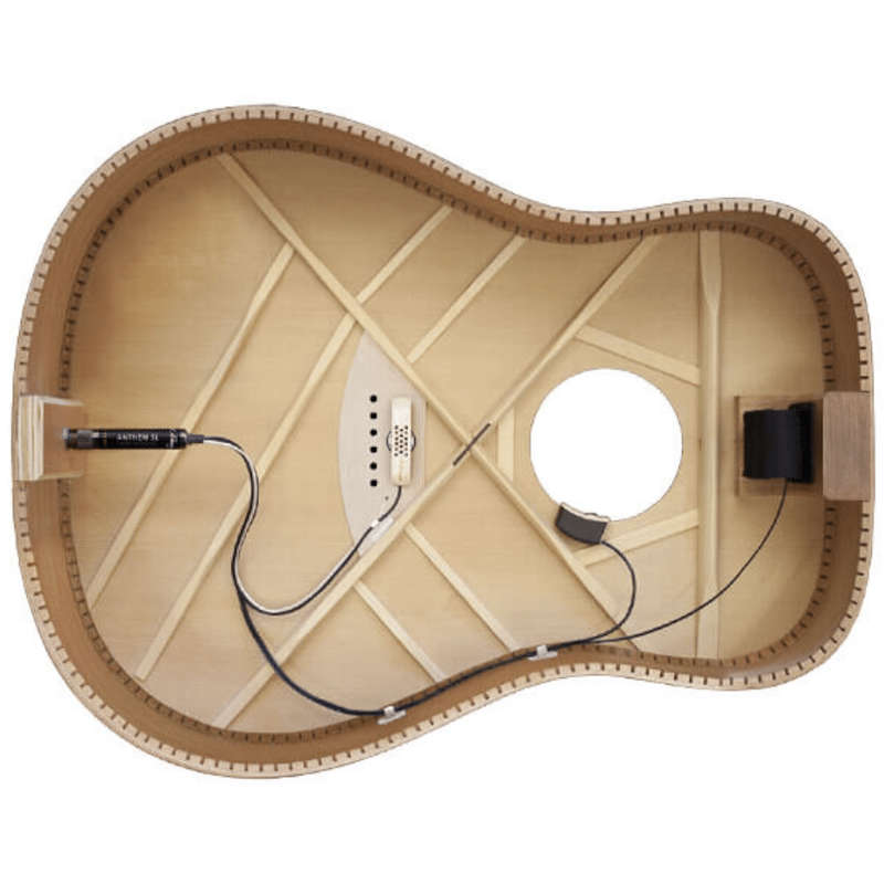 LR Baggs Anthem Soundhole Microphone/Undersaddle Acoustic Guitar Pickup