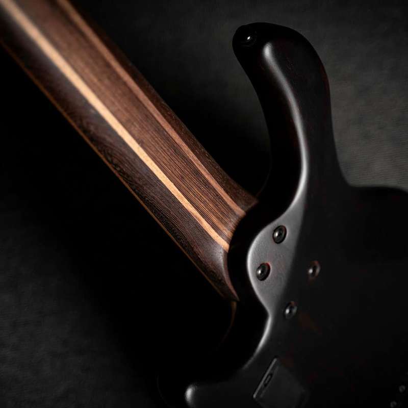 CORT B5 Element 5-String Bass - Open Pore Transparent Black