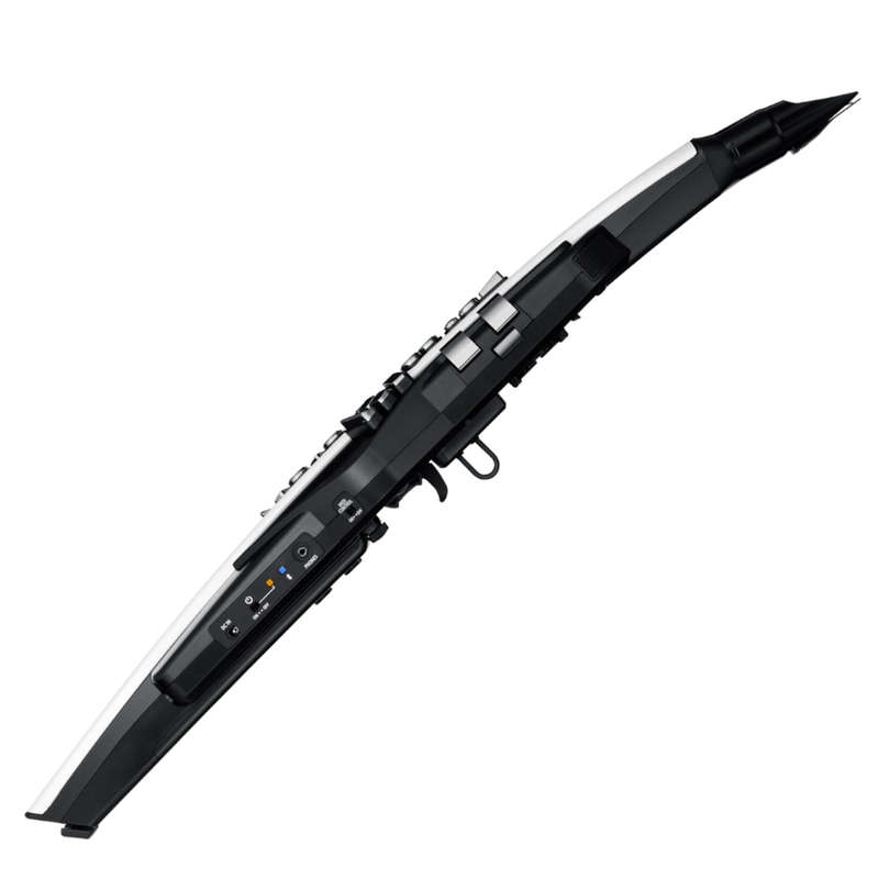 Roland Aerophone AE-20 Digital Wind Instrument