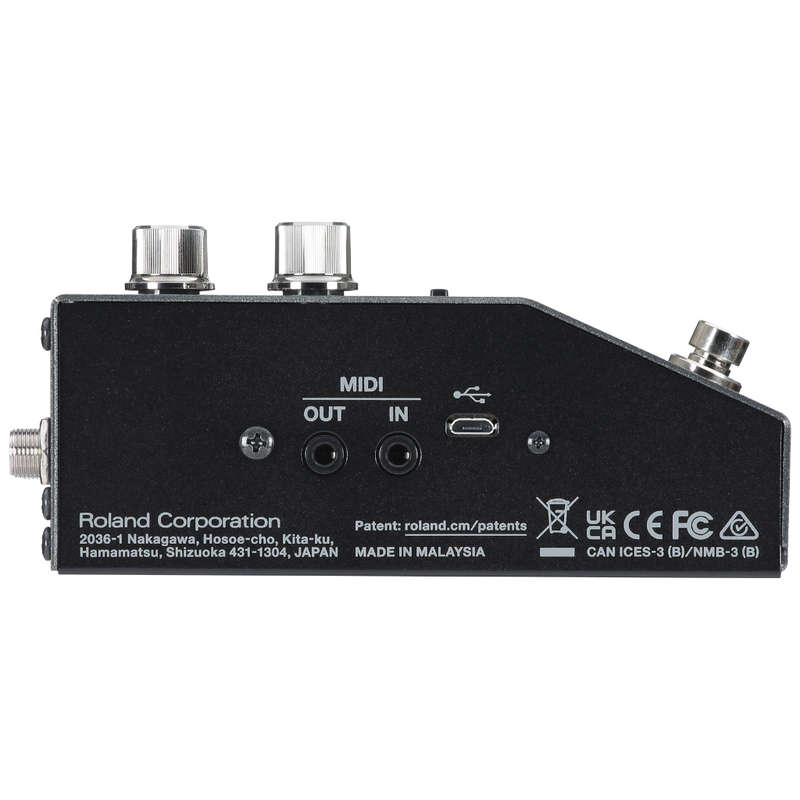 Boss RV-200 Reverb Pedal