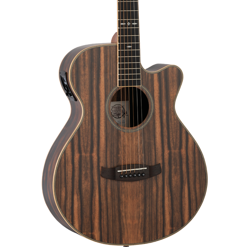 Tanglewood Reunion Folk Figured Ebony Acoustic Guitar With Bag