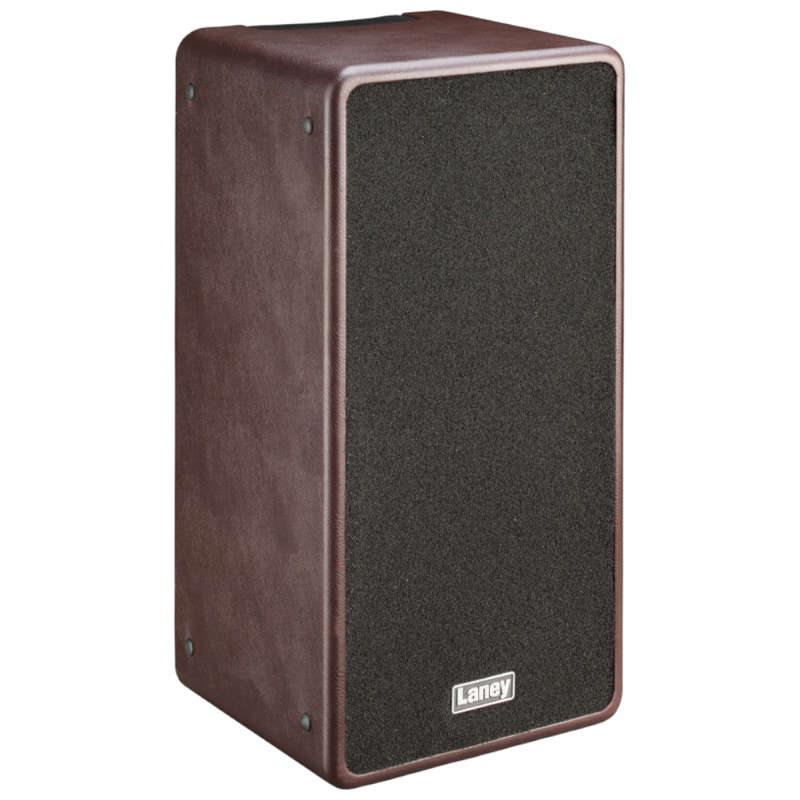 Laney A-Duo 120-watt 2 x 8-inch Acoustic Combo Amplifier